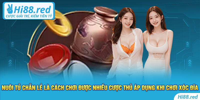 Nuôi tủ chẵn lẻ là cách chơi được nhiều cược thủ áp dụng khi chơi xóc đĩa