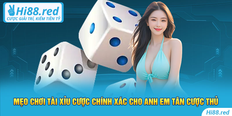 Mẹo chơi tài xỉu cược chính xác cho anh em tân cược thủ