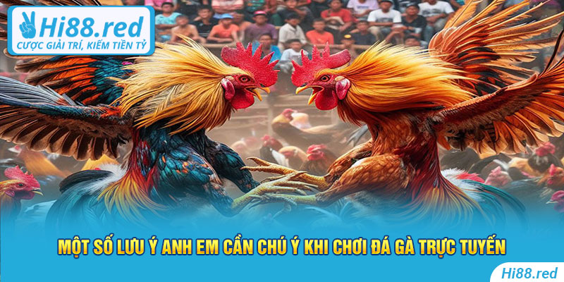 Một số lưu ý anh em cần chú ý khi chơi đá gà trực tuyến