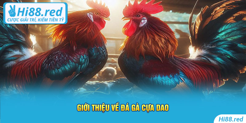 Giới thiệu về Hi88 đá gà cựa dao