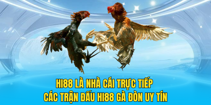 Hi88 là nhà cái trực tiếp các trận đấu Hi88 gà đòn uy tín